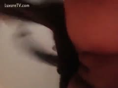 Pumping a bawdy cleft with a dog